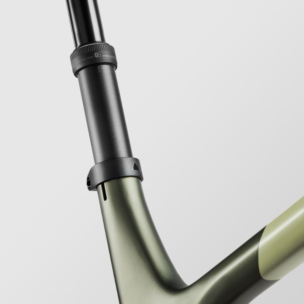 Canyon Spectral 29 CF 8, Big Bamboo, Extra Large