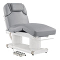 Dir Full Electric Medical Spa Treatment Massage Table Facial Beauty Bed LUXI in Grey