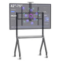 JYXOIHUB Smart Board Stand for 42"– 75" Interactive Smart Whiteboard, Height Adjustable Mobile Portable Stand with Four Lockable Wheels for Classroom Home Office Business Studio