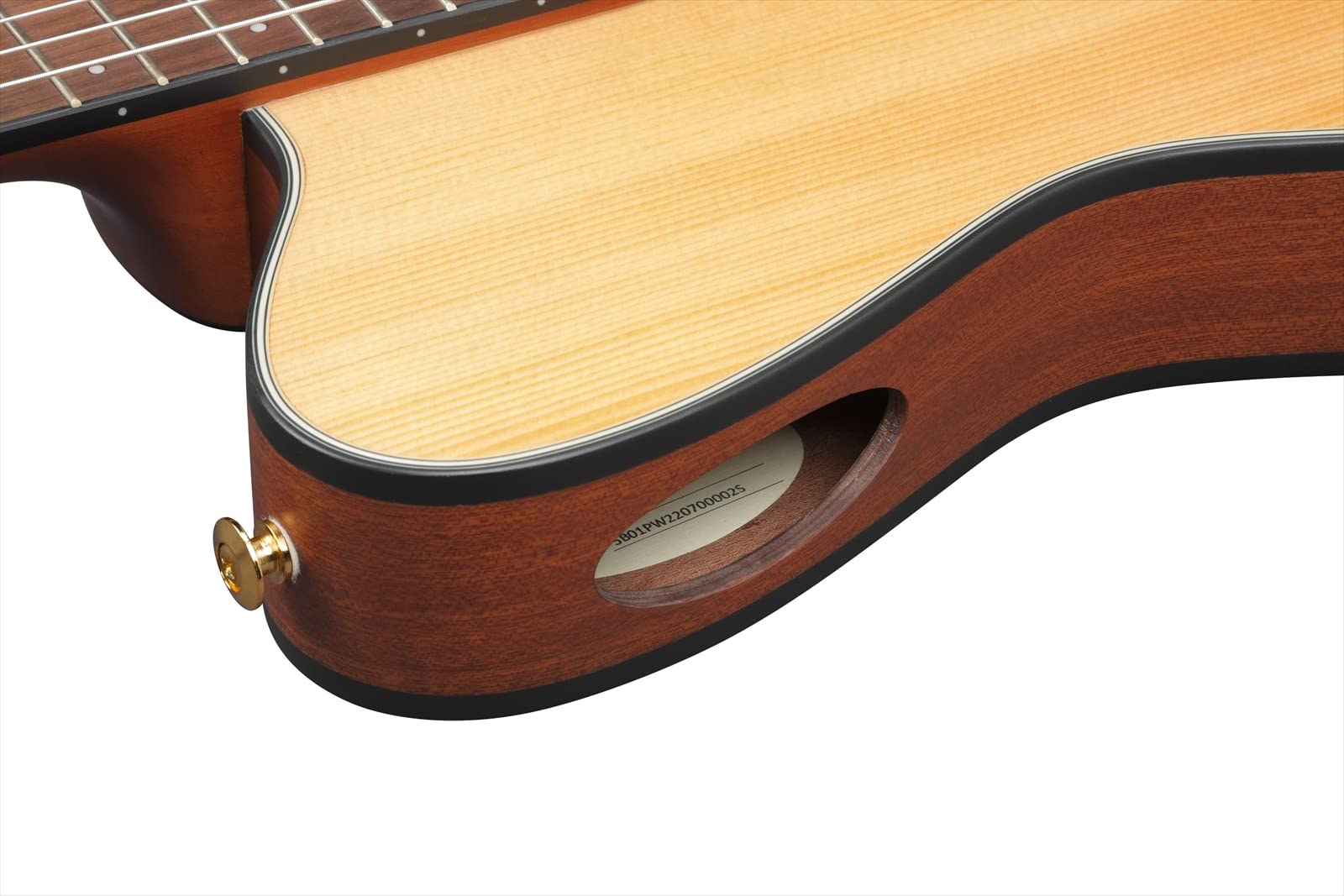 Ibanez FRH10N Thinline Nylon Acoustic-electric Guitar - Natural