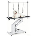 43.3" Hydraulic Pet Grooming Table, Heavy Duty Hydraulic Grooming Table Max Load 350Lbs, Professional Hydraulic Dog Grooming Table with 3 Adjsutable Nooses &, Overhead, Adjustable Height Range 22 in -