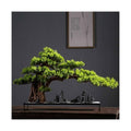 WANGHAI2024M Artificial Trees High-end Light Luxury Greenery Bonsai Ornaments Hotel Decoration Simulation Tree Entrance Coffee Table Decoration Fake Greenery Artificial Bonsai