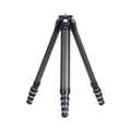 FALCAM TreeRoot Carbon Fiber Small Tripod R140T, 4-Section Legs,Quick Lock Tripod Only-T00A4904