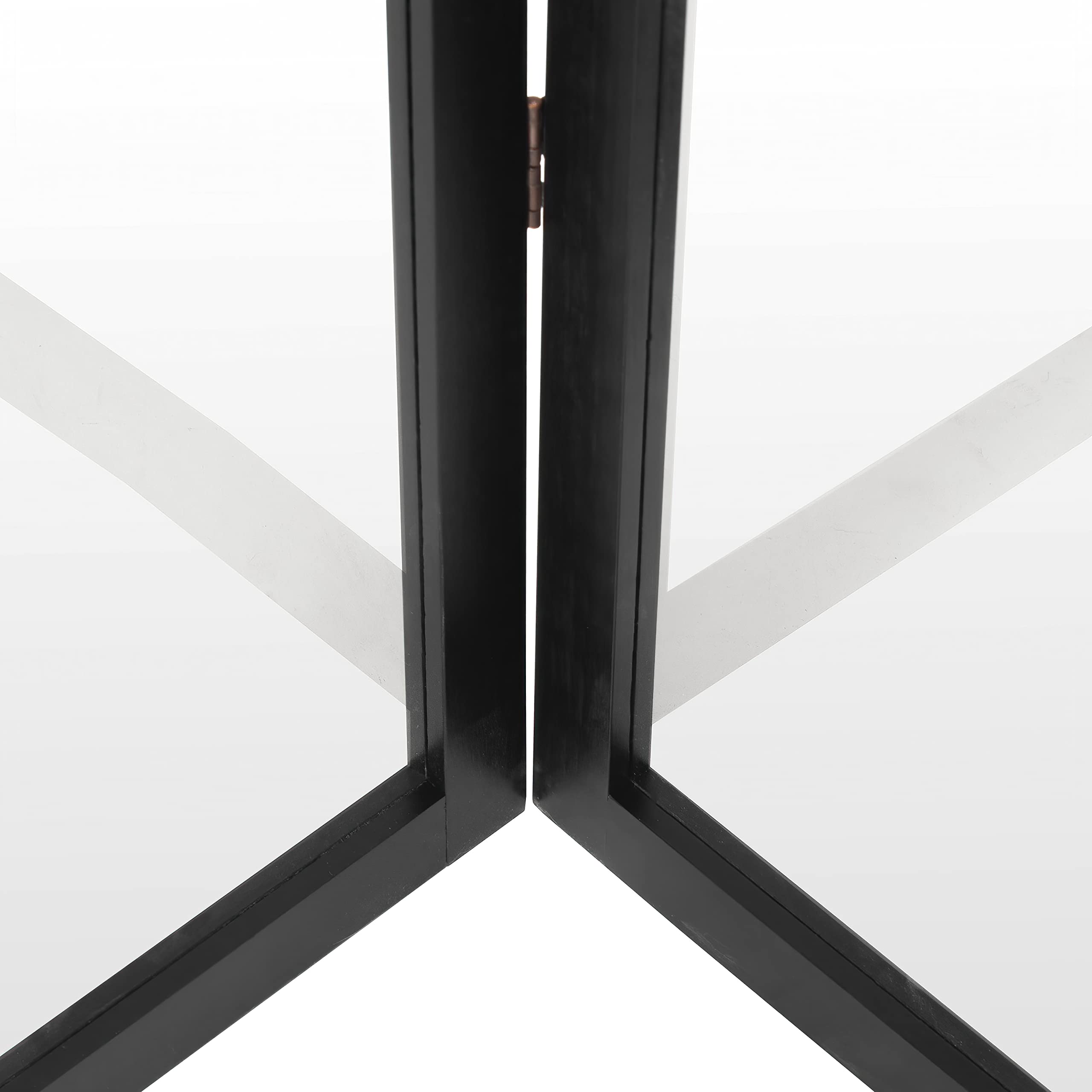 Red Lantern 6 ft. Tall Clear Plastic Partition Black 3 Panel
