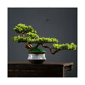 WANGHAI2024M Artificial Trees Artificial Bonsai Simulation Tree High-end Light Luxury Greenery Entrance Decoration Simulation Tree Bonsai Ornaments Artificial Bonsai