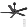 WINGBO 48" DC Ceiling Fan No Light - 5 Carved Solid Wood Blades, 6-Speed Reversible DC Motor, Ceiling Fan without Lights for Living Room Bedroom Kitchen Patio, Indoor and Outdoor, Matte Black