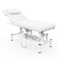 Professional Electric Massage Table, 2 Motors Hydraulic Electric Lift Adjustable Backrest and Height Lifting Functions for Treatment/Physical Therapy/Spinal Massage/Facial Spa/Waxing/Tattooing - White