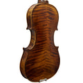 Paititi 4/4 Full Size PTVNSH100 Premium Hand Carved Ebony Fitted Violin Outfit with Case, Bow, String, Tuner, Mute and Rosin