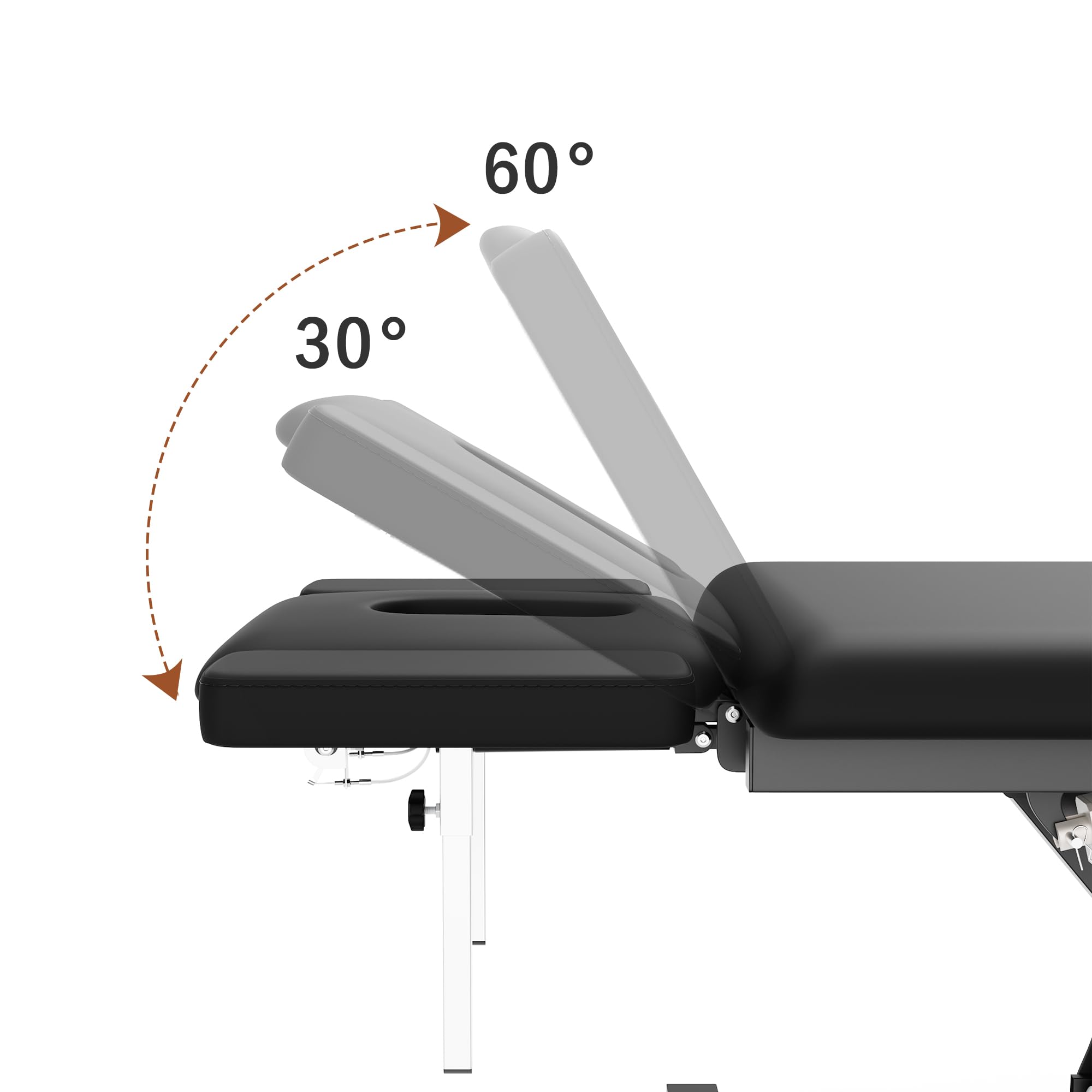 Dolonm 2 Motors Electric Massage Table, Hydraulic Electric Lift Adjustable Waist and Height Lifting Functions for Treatment, Physical Therapy, Spinal Massage, Facial Spa, Waxing, Tattooing - Black