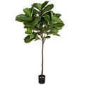 SilksAreForever 7' IFR Silk Fiddle Leaf Fig Tree w/Pot -Green