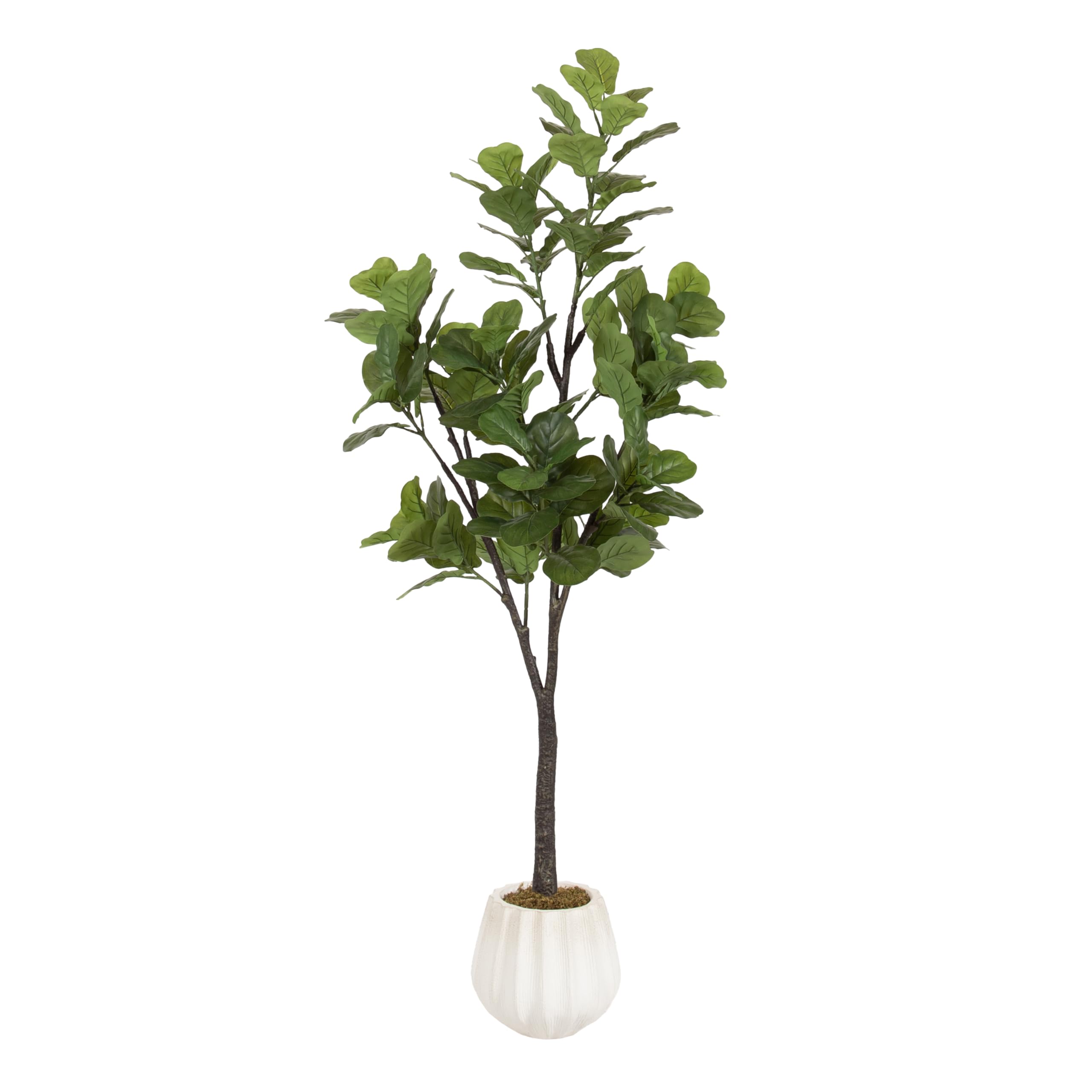 Kate and Laurel Fidmont Faux Fiddle Fig Tree with Claudel Scalloped Planter Pot, 6 FT, White, Potted Artificial Tree Indoor with Realistic Foliage and Added Moss, Fake Plant for Living Room Decor