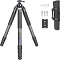 INNOREL P404C 72" Carbon Fiber Tripod for Hunting with Arca Swiss Dovetail Mount and 360° Ballhead(2.5"), 40mm Tube Tripods with Heavy Duty Construction for Photography and Outdoors, Load 88lb/40kg