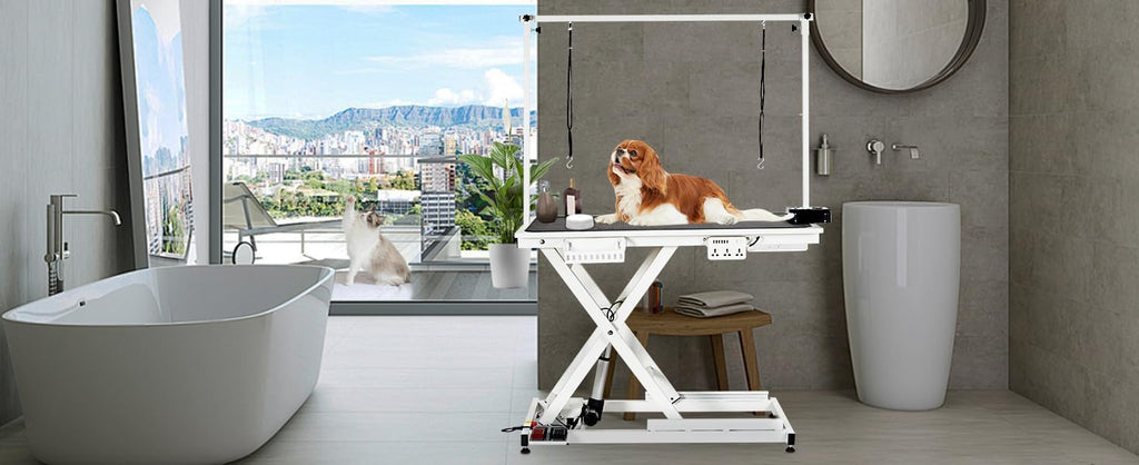 MilleLoom 50" Electric Dog Grooming Table for Home, Heavy Duty Height Adjustable Pet Wash Station with Arm, Portable Non-Slip Tabletop, Tool Organizer & USB Outlet, Supports 300lbs for All Pets