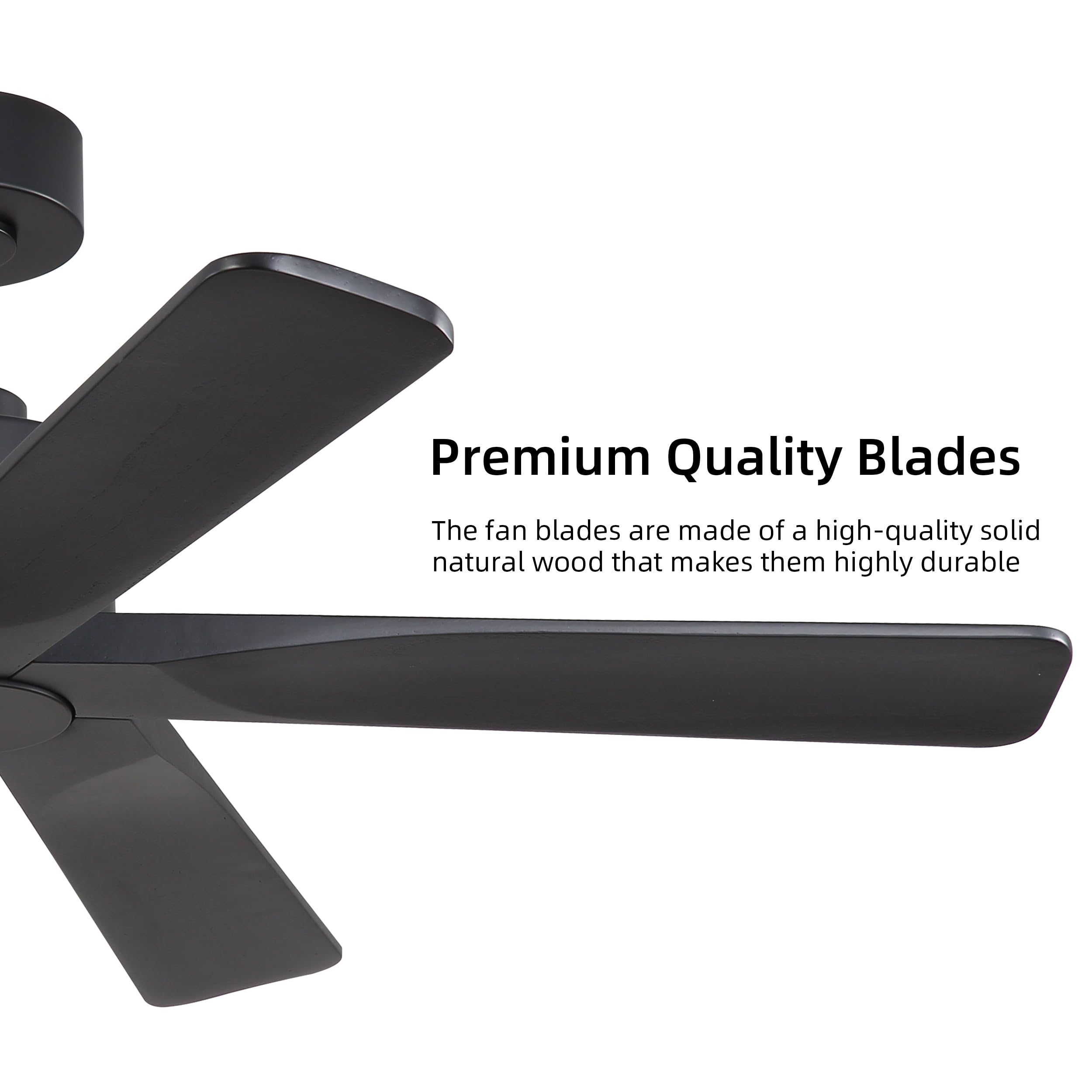 WINGBO 48" DC Ceiling Fan No Light - 5 Carved Solid Wood Blades, 6-Speed Reversible DC Motor, Ceiling Fan without Lights for Living Room Bedroom Kitchen Patio, Indoor and Outdoor, Matte Black