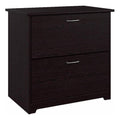 BOWERY HILL 2-Drawer Wood Lateral File Cabinet, Chocolate Espresso Oak Finish, 31.5" W x 30.25" H x 19.88" D, Transitional Home Office Storage for Letter/Legal/A4 Files, Smooth Full-Extension Ball