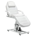 BarberPub Salon SPA Massage Bed Tattoo Chair Facial Adjustable Table Beauty Equipment 0100 (White)