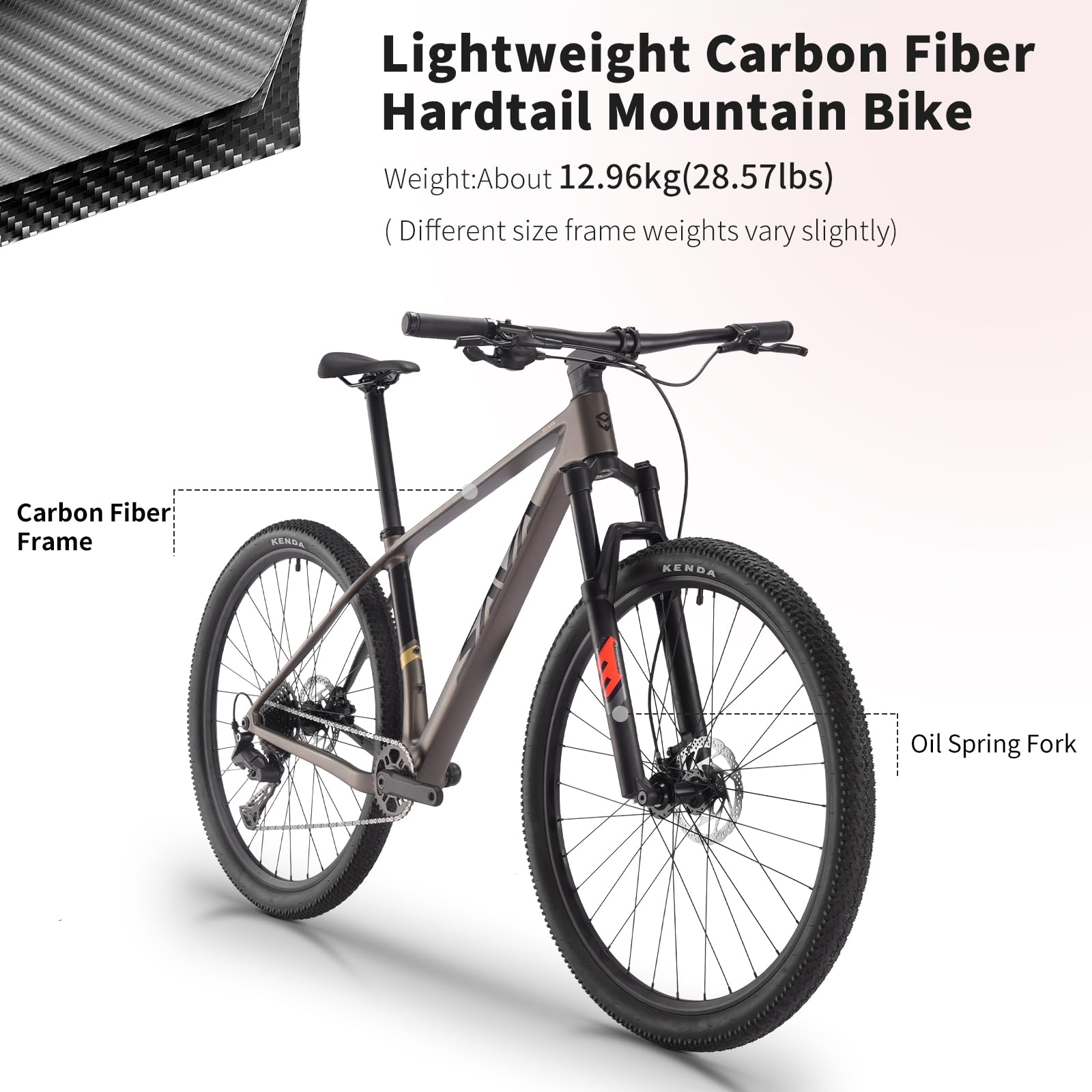 SAVADECK Carbon Fiber MTB with U6000 10 Speed Shift Groupset, Hydraulic Disc Brake with MT200 Break System (Rock Grey, 29 * 15.5)