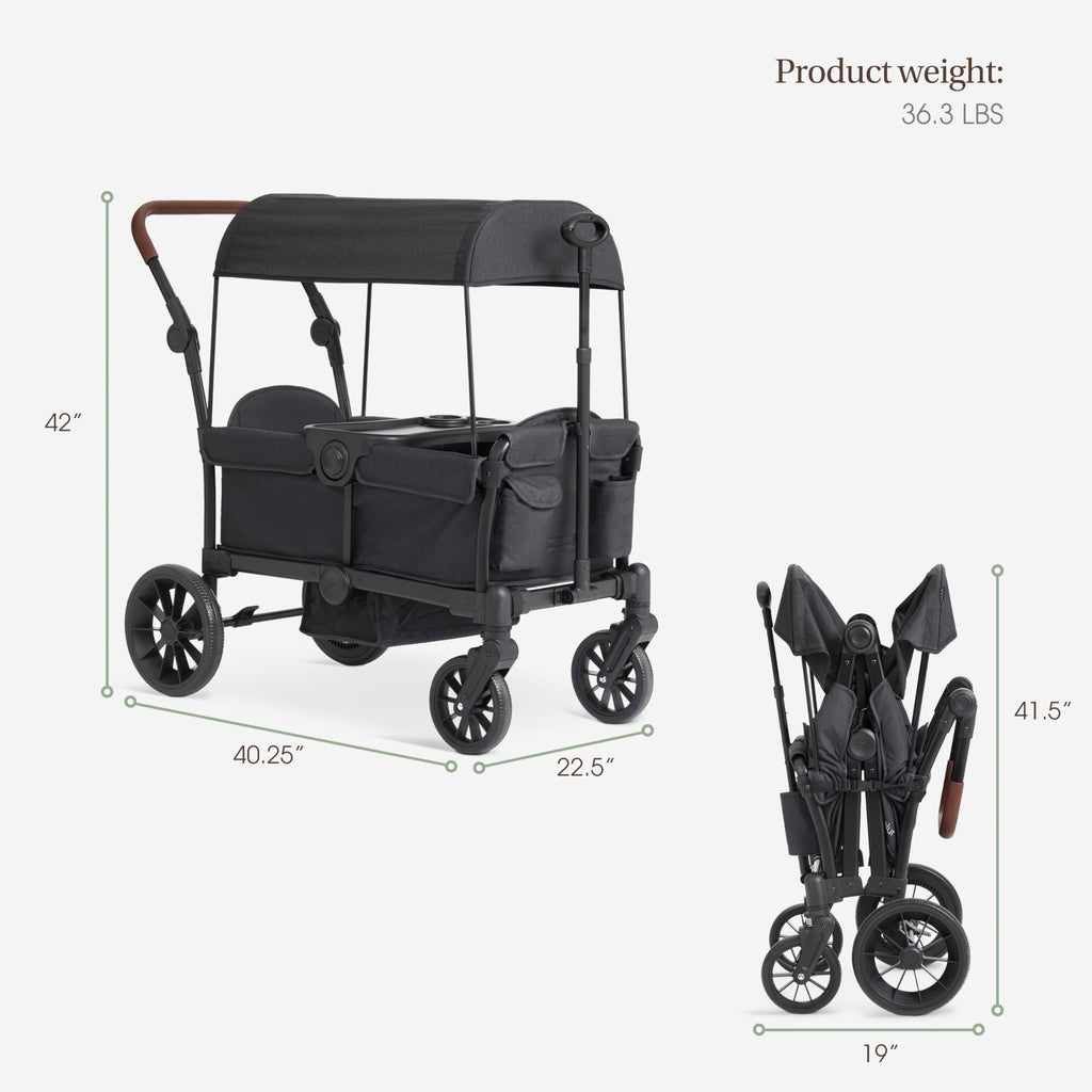 Evolur Trailblazer Wagon Double Stroller in Black, Foldable Infant and Toddler Stroller Wagon, 5-Point Harness, Removable Canopy, All-Terrain Wheels, Spacious Storage for 2 Kids
