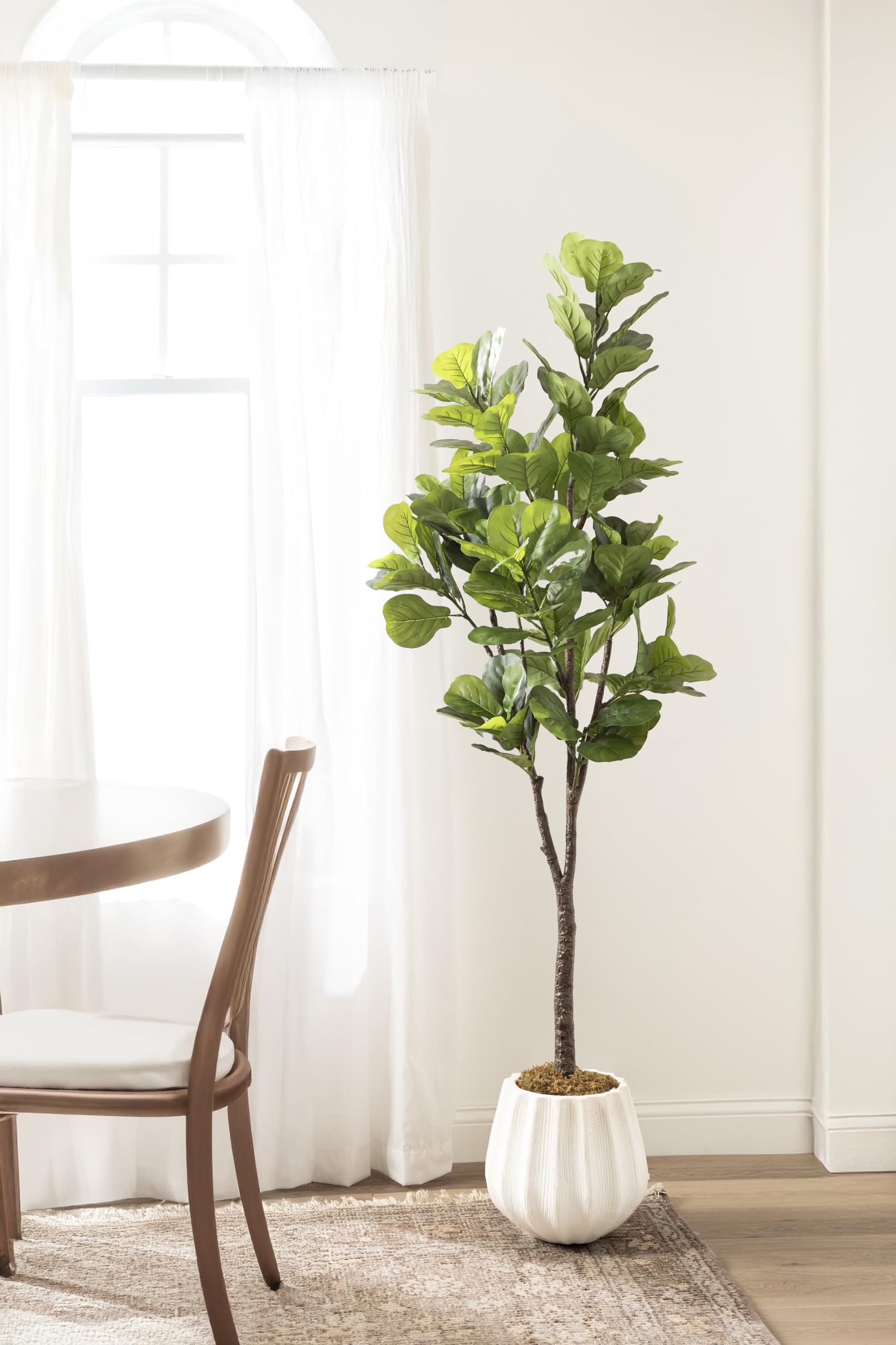 Kate and Laurel Fidmont Faux Fiddle Fig Tree with Claudel Scalloped Planter Pot, 6 FT, White, Potted Artificial Tree Indoor with Realistic Foliage and Added Moss, Fake Plant for Living Room Decor