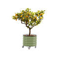 Rolling Metal Citrus Tree Planter, Self-Watering Round Large Pot for Growing Trees Tomatoes Outdoor Plants Vegetables and Flowers, Raised Garden Bed with Wheels for Porch Patio & Backyard, Olive Green