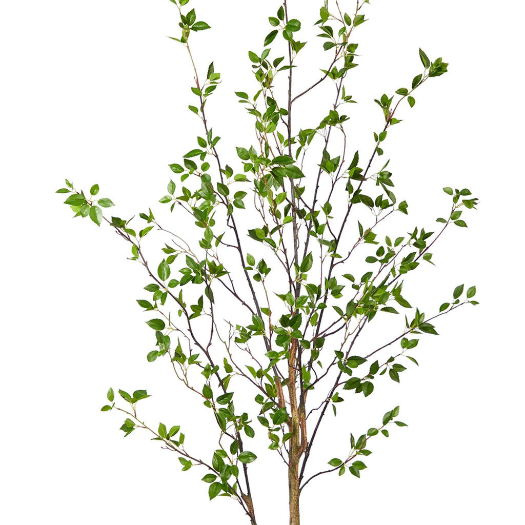 Generic 6.5' Minimalist Citrus Artificial Tree 6.5 Black