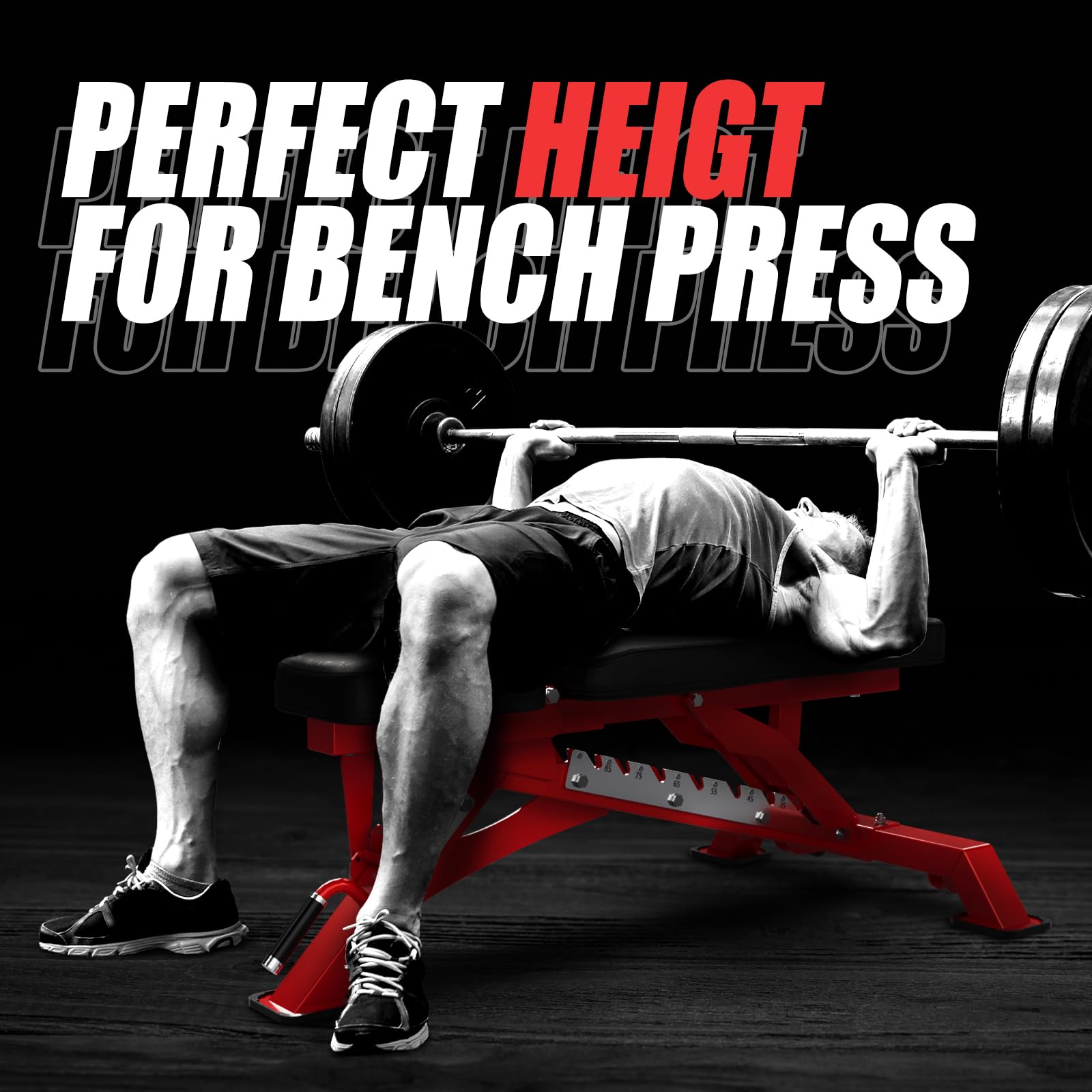 RITFIT Adjustable Weight Bench with Multiple Back Positions for Full Body Workouts, Incline, Decline, and Flat Settings for Home Gym Strength Training, 1300LB Capacity