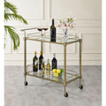 Geelife Aditya Mirrored & Antique Brass Finish Serving Cart