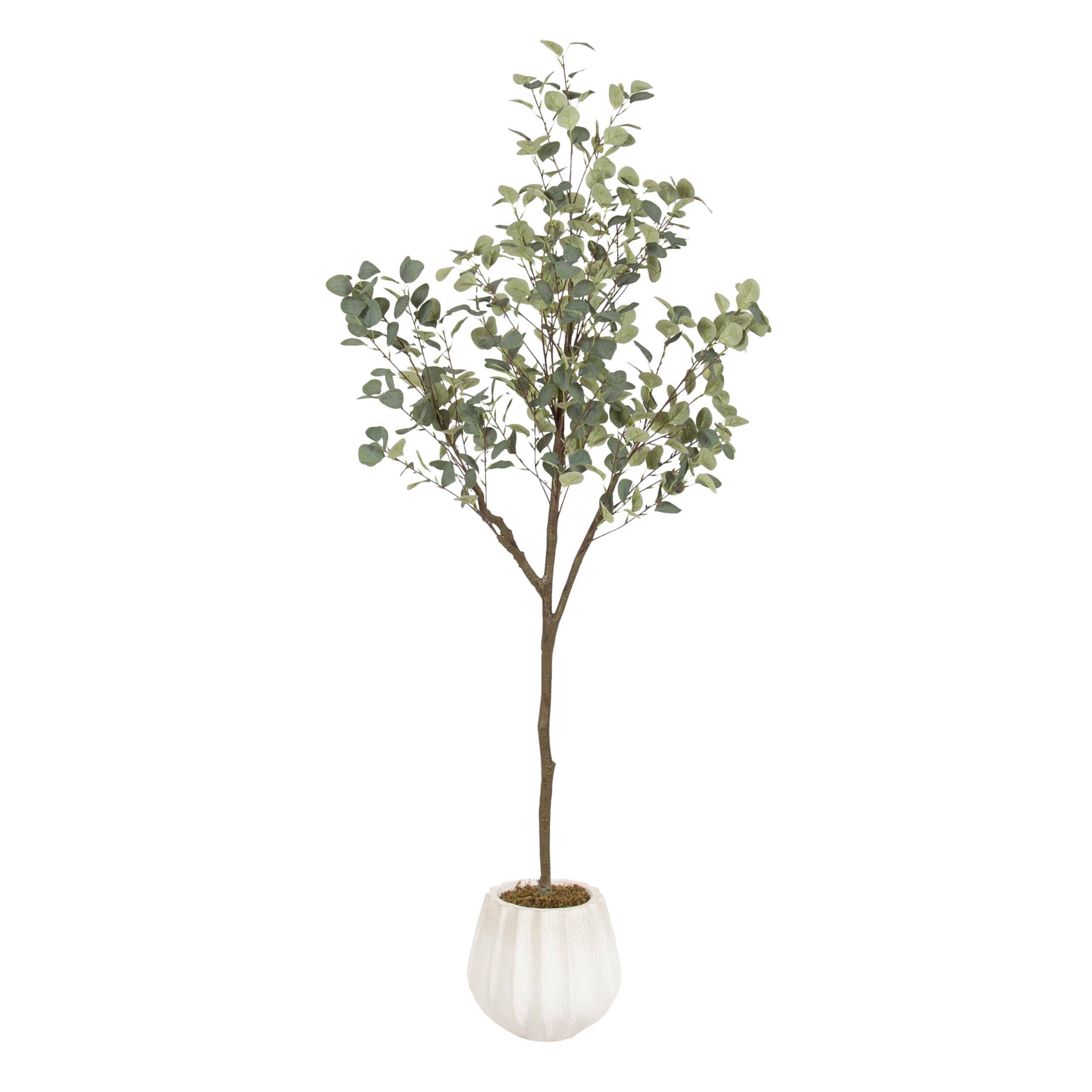 Kate and Laurel Eudora Faux Eucalyptus Tree with Claudel Scalloped Planter Pot, 6 FT, White, Potted Artificial Tree Indoor with Realistic Foliage and Added Moss, Fake Plant for Living Room Decor