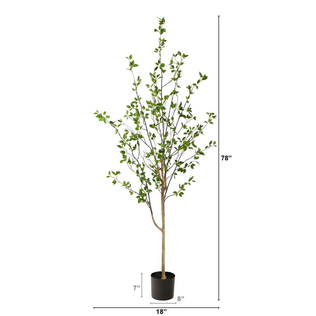 Generic 6.5' Minimalist Citrus Artificial Tree 6.5 Black