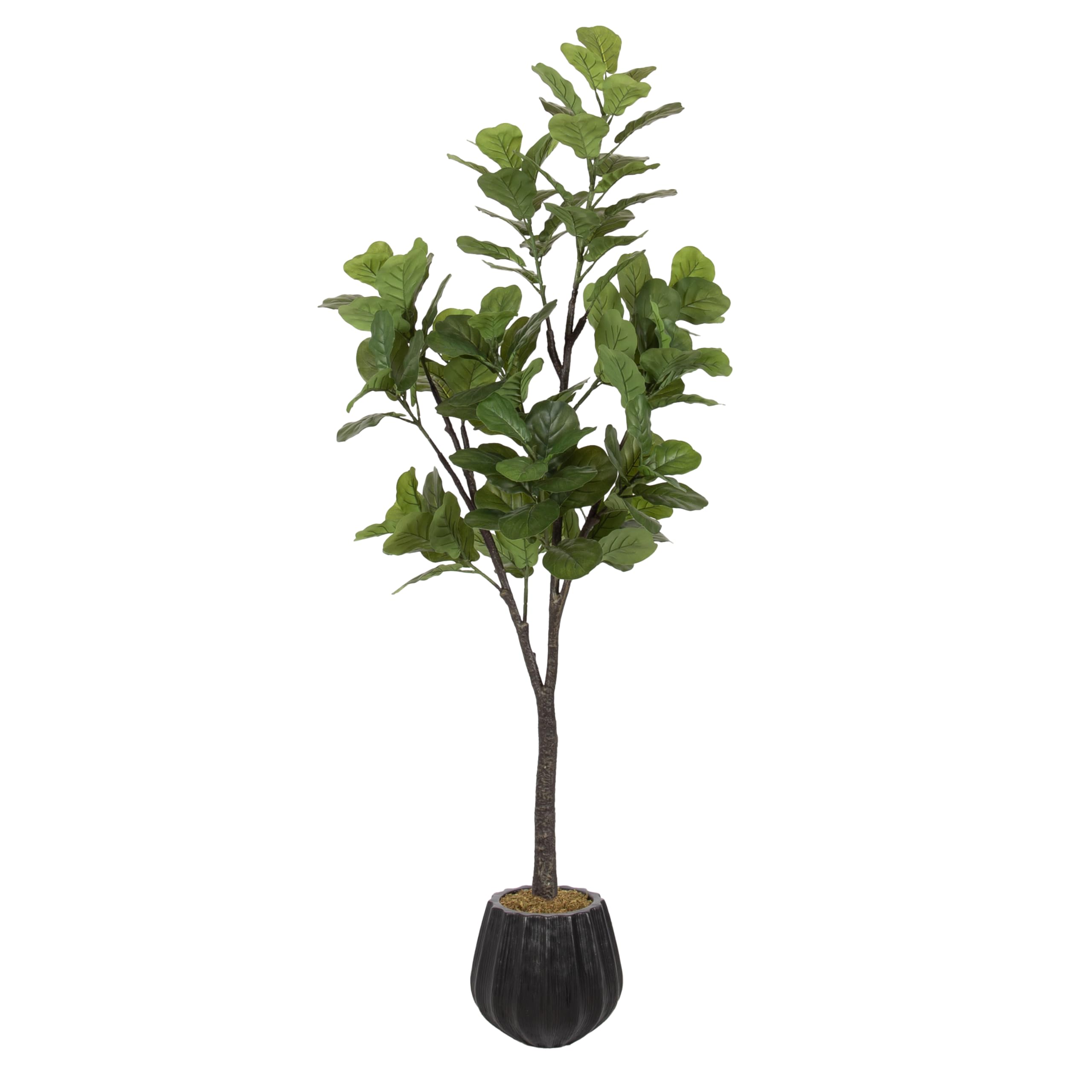 Kate and Laurel Fidmont Faux Fiddle Fig Tree with Claudel Scalloped Planter Pot, 6 FT, Black, Potted Artificial Tree Indoor with Realistic Foliage and Added Moss, Fake Plant for Living Room Decor
