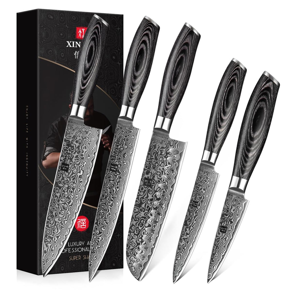 XINZUO 5-Piece Kitchen Knife,Super Sharp Damascus Steel Professional Chef Knife Set with Pakkawood Handle, Gift Box