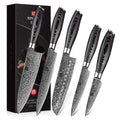 XINZUO 5-Piece Kitchen Knife,Super Sharp Damascus Steel Professional Chef Knife Set with Pakkawood Handle, Gift Box