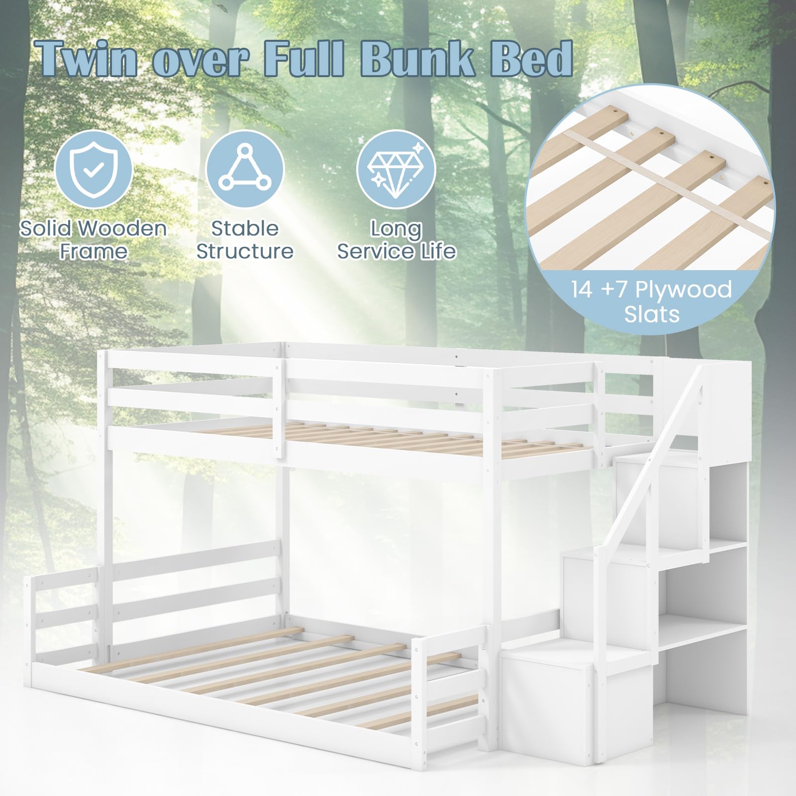 Giantex Twin Over Full Bunk Bed with Stairs, Solid Wood Floor Bunk Bed with Storage Staircase & Full-Length Guardrails, Low Bunk Bed with for Kids, Teens, Adults, Dorm, Small Space, White
