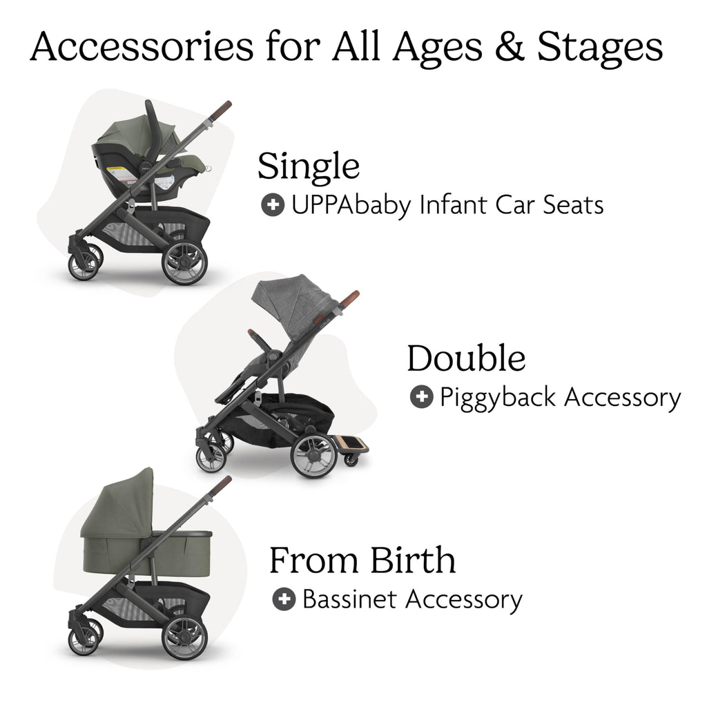 UPPAbaby Cruz V3 Stroller - from Birth + Car Seat Compatible - Full-Size, Reversible Seat - Infant Insert, Bug and Rain Shields Included - Evelyn (Meadow Green/Graphite Frame/Chestnut Leather)