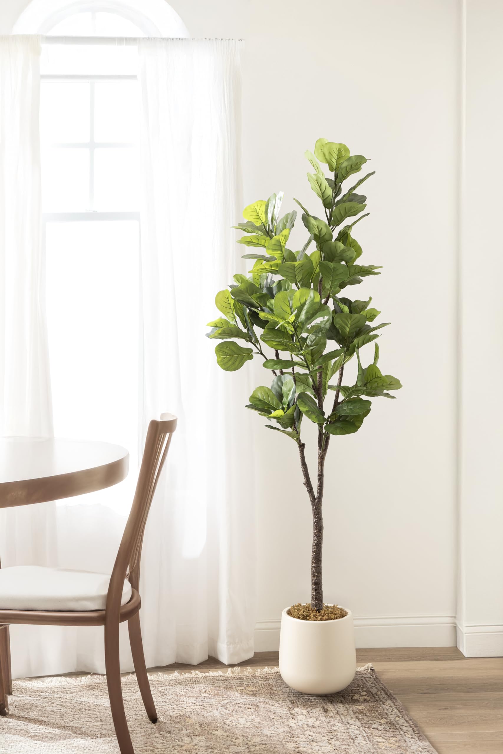 Kate and Laurel Fidmont Faux Fiddle Fig Tree with Jia Curved Planter Pot, 6 FT, Cream, Potted Artificial Tree Indoor with Realistic Foliage and Added Moss, Fake Plant for Living Room Decor