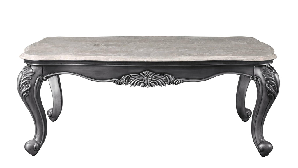 Acme Ariadne Rectangular Marble Top Wooden Coffee Table in Platinum Gray