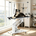 43.3-Inch Large Desktop Hydraulic Pet Grooming Table for Large Dogs with 350 LBS Loading Capacity - Heavy Duty Professional Dog Grooming Table with Non-Slip Desktop and 3 Adjsutable Nooses