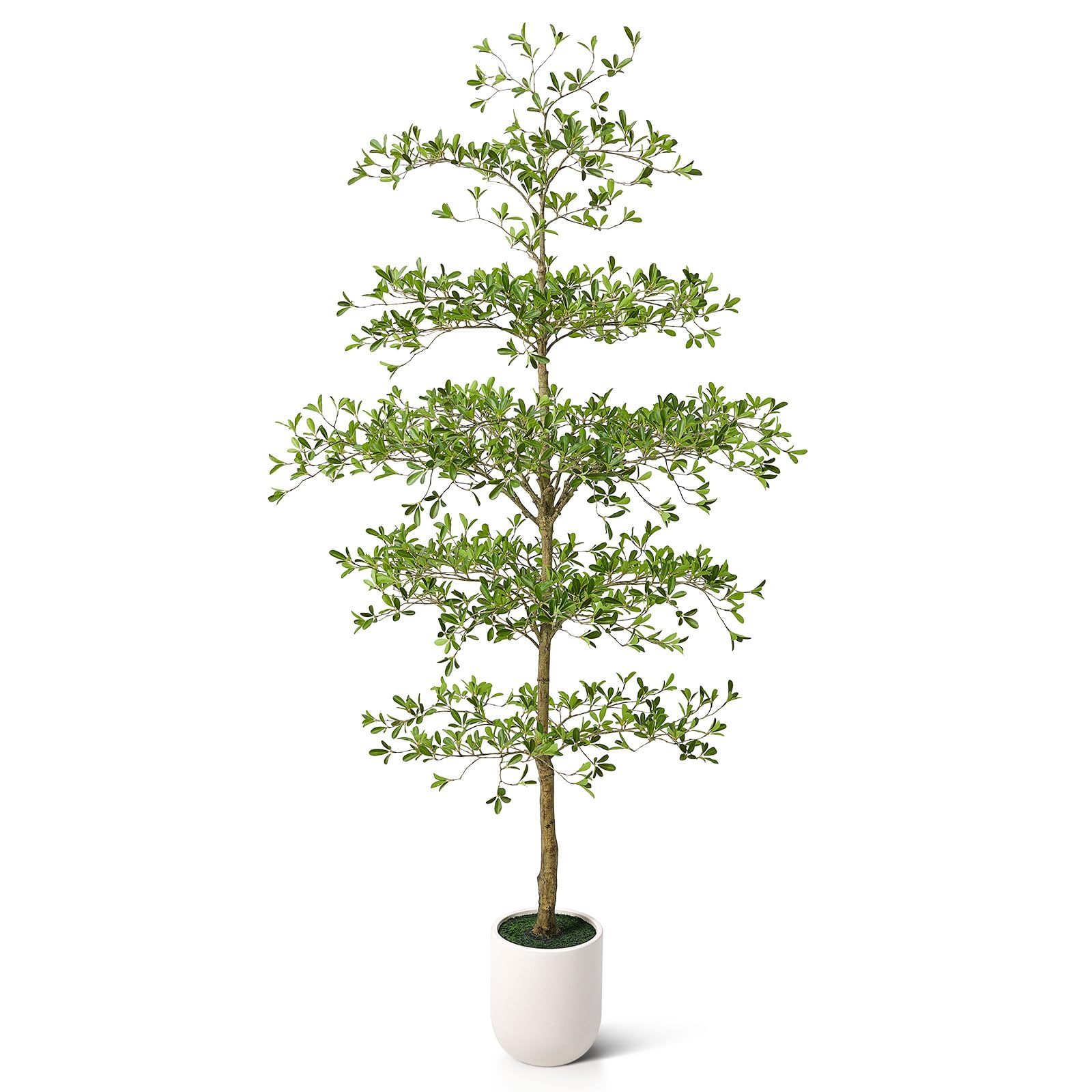 VeriNatural 9FT Artificial Black Olive Tree Indoor with White Planter – Tall Luxury Faux Olive Tree, Mediterranean Architectural Statement Decor for Living Room & Office,VN232