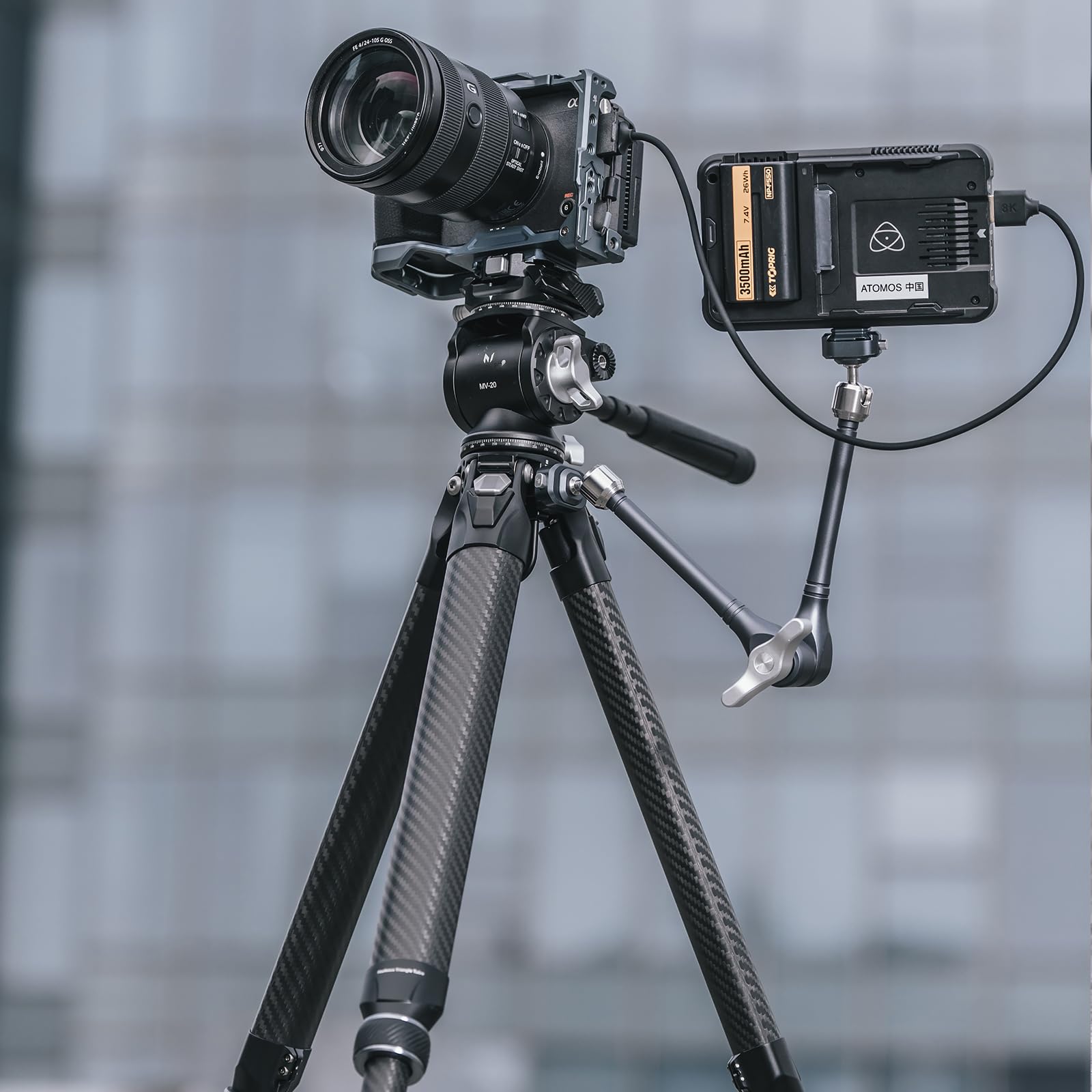 Falcam TreeRoot F38 Pro Carbon Fiber Tripod, 61" Quick Lock Travel Tripod, 5kg Load, F22 Interfaces, 1/4" Screw, Carry Strap Holes for DSLR, Mirrorless, and Video Cameras (R140T)