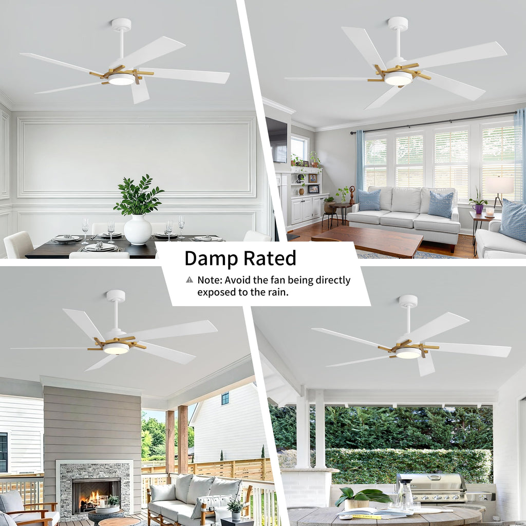 WINGBO 64 Inch Ceiling Fan with Light and Remote, 5 Plywood Blades, 6-Speed Reversible DC Motor, Dimmable, 3CCT, Modern Ceiling Fan for Bedroom Living Room Kitchen, Gold and White