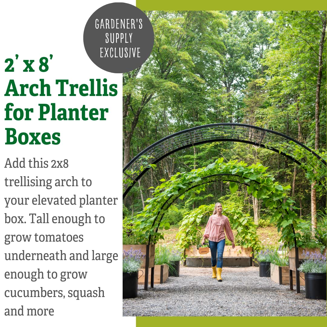 Gardener’s Supply Company Arch Trellis | Garden Arbor fits 2' x 8' Elevated Planter Boxes for Climbing Plants, Vegetables and Flowers | Decorative Outdoor Gardening Landscape