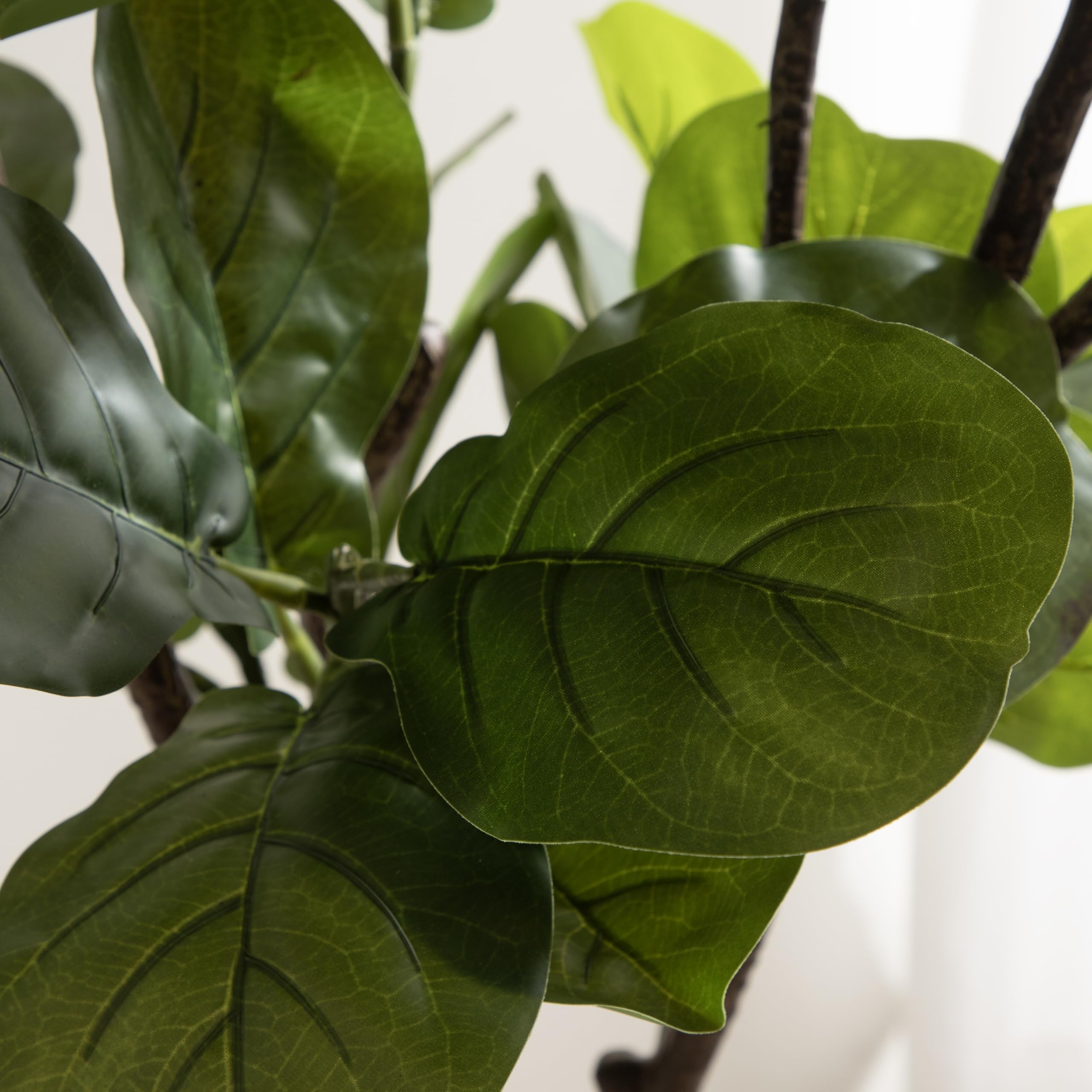 Kate and Laurel Fidmont Faux Fiddle Fig Tree with Claudel Scalloped Planter Pot, 6 FT, White, Potted Artificial Tree Indoor with Realistic Foliage and Added Moss, Fake Plant for Living Room Decor