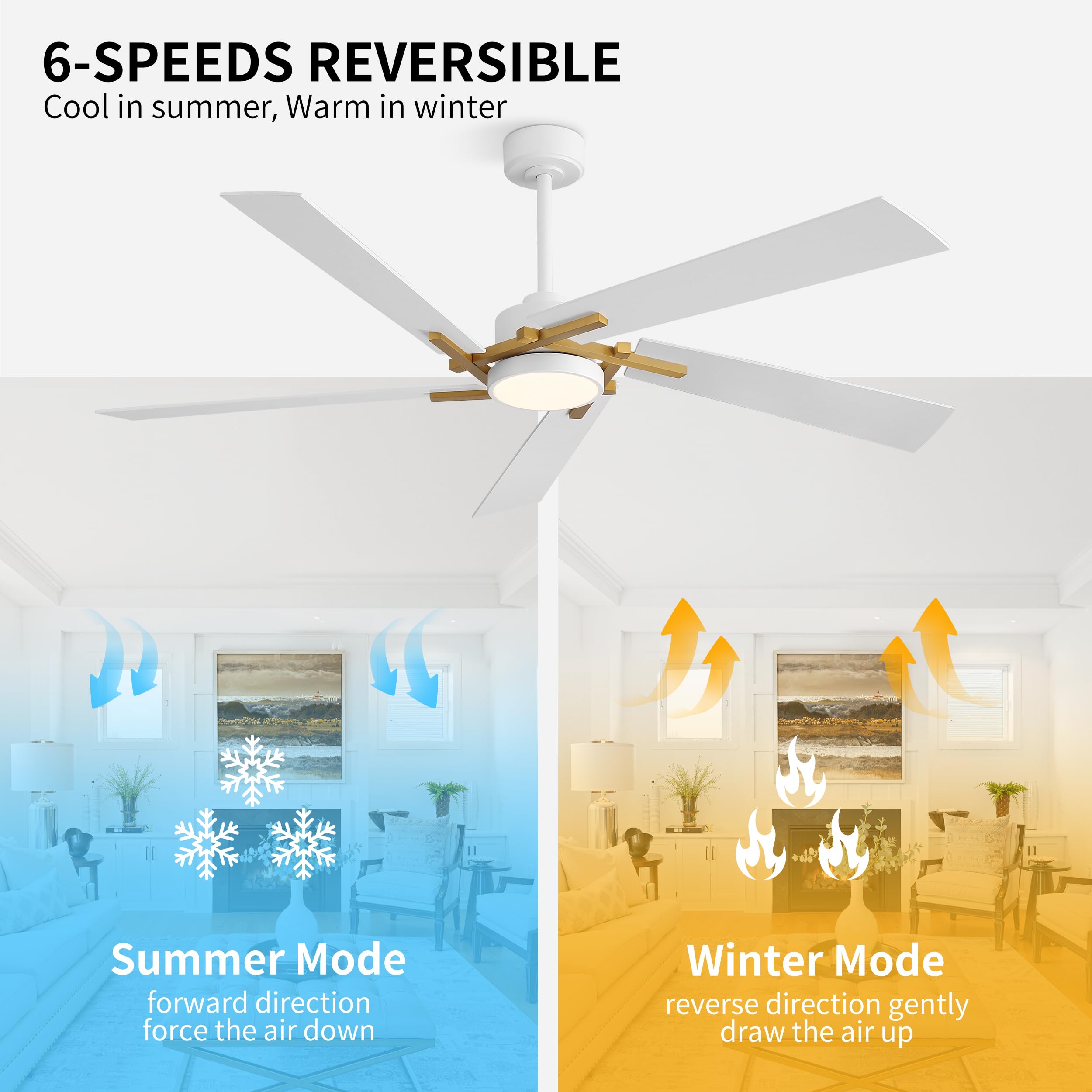 WINGBO 64 Inch Ceiling Fan with Light and Remote, 5 Plywood Blades, 6-Speed Reversible DC Motor, Dimmable, 3CCT, Modern Ceiling Fan for Bedroom Living Room Kitchen, Gold and White