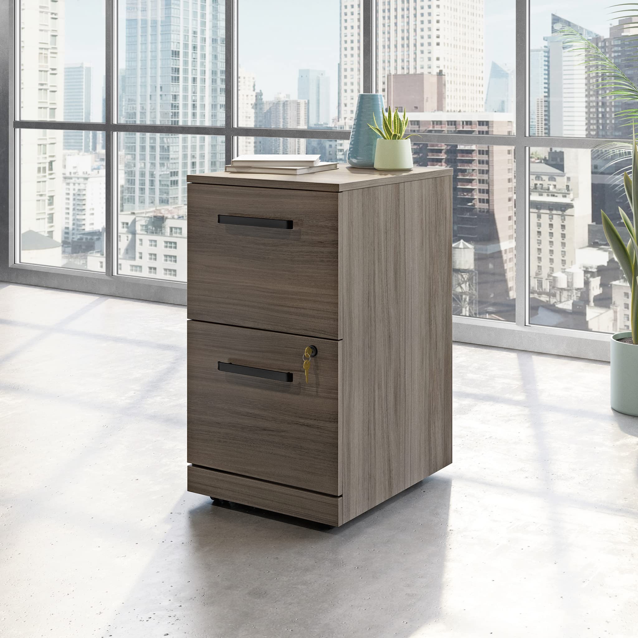 Sauder Affirm 2 Drawer Mobile File, Hudson Elm Finish