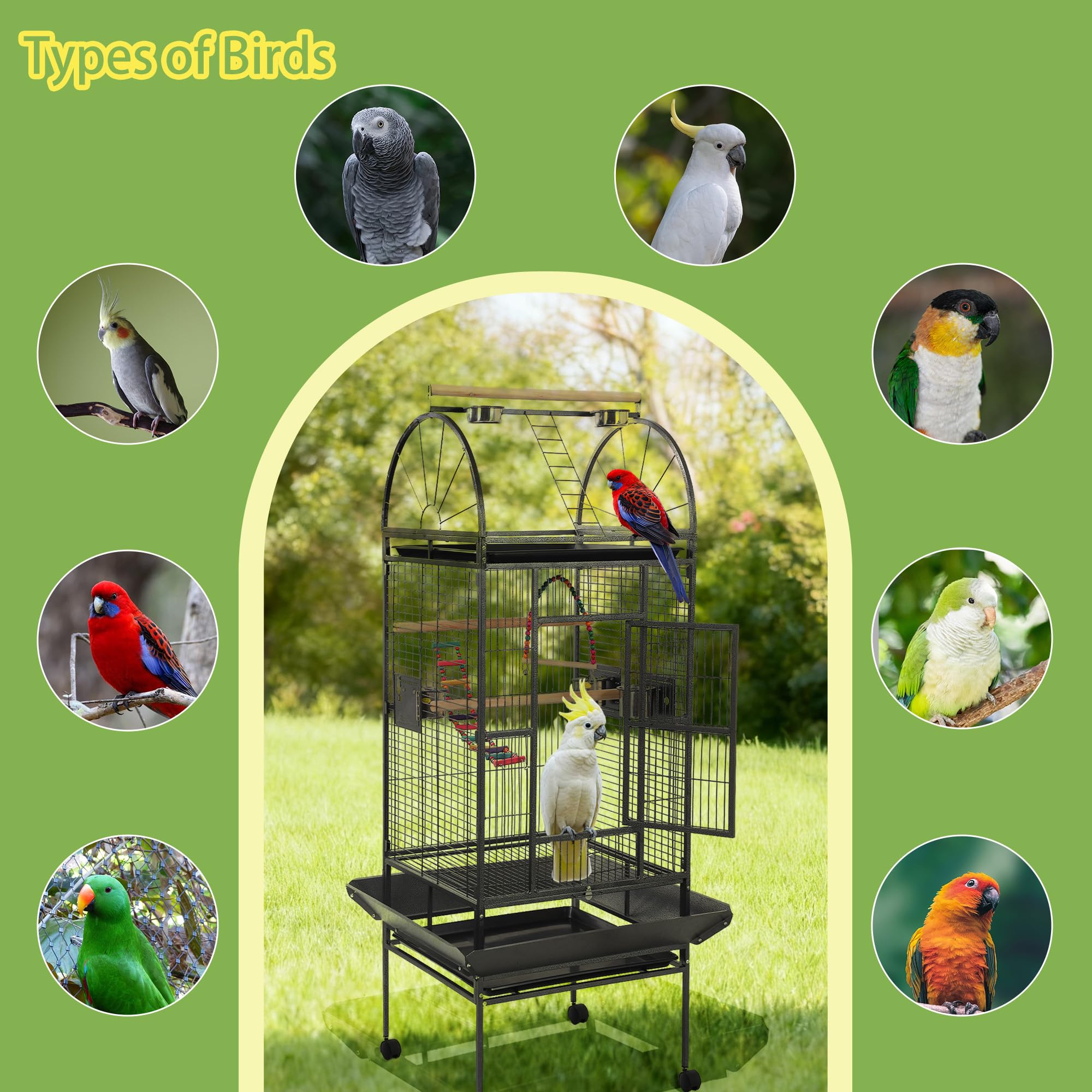 Sinopet 68'' Large Parrot Cage, Large Bird Cages for Parrots,Conure Cage for Birds, Cockatiel Cage with Play Top,Feeders,Slide-Out Tray,Seed Catcher,Birdcage Toys for Cockatoo,African Grey,Lovebird