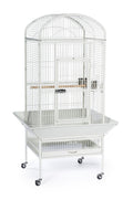 Prevue Pet Products Large Dome Top Bird Cage - Medium Steel Cage with Casters, Dual Locks, Seed Guards, and Perches, Ideal for Cockatiels, Conures, and Similarly Sized Birds - Chalk White