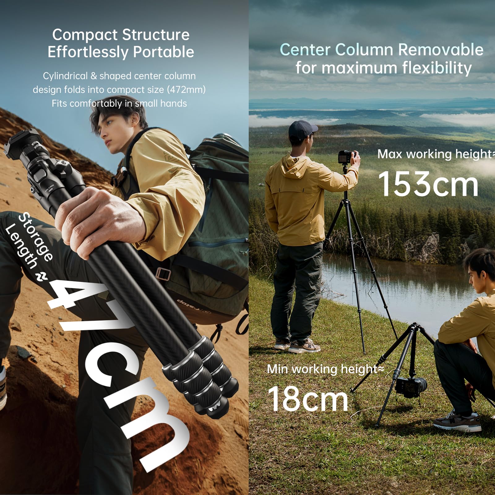 FALCAM TreeRoot F38 Quick Lock Lite Carbon Fiber Travel Tripod with Ball Head Load Capacity 3kg/6.6lbs, Max Vertical Payload 40Kg/88lbs for Cameras, All-Terrain Stability (C141K-301)
