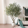 VeriNatural Olive Trees Artificial Indoor, 8FT Tall Faux Olive Tree with Round White Planter, UV Resistant Outdoor Large Fake Olive Plants for Modern Home Decor Living Room Office