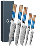 Fukep 5 Piece Damascus Knife Set, Professional Japanese Knife Set with Japanese VG 10 Steel Core, Blue Resin Handle, Includes Chef, Santoku, Bread, Boning & Paring Damascus Knives in Gift Box