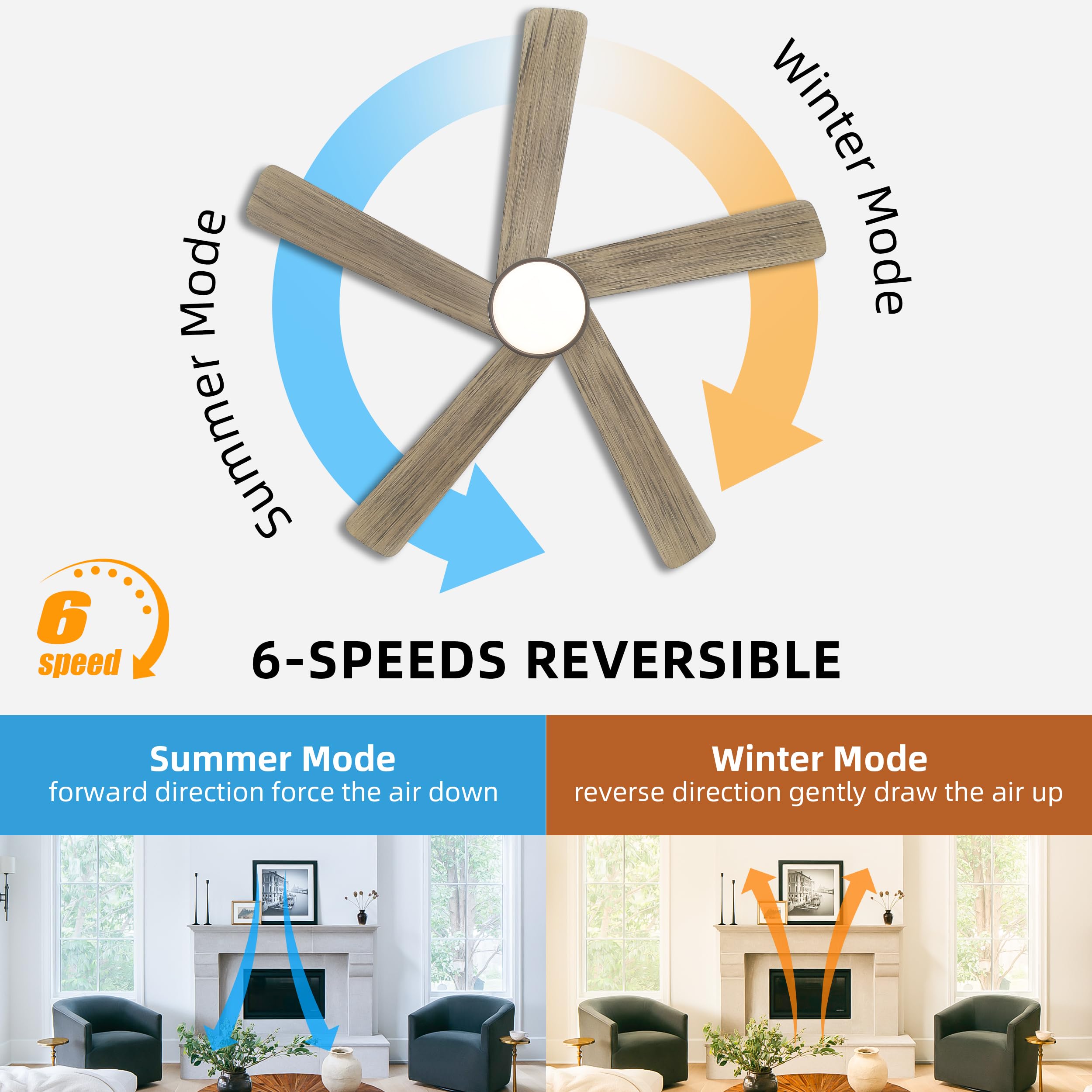 WINGBO 48 Inch DC Ceiling Fan with Lights and Remote Control, 5 Carved Solid Wood Blades, 6-Speed Noiseless Reversible DC Motor, Indoor Ceiling Fan in Graphite Finish with Gray Blades